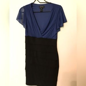 Lightly worn two tone professional dress size 8P